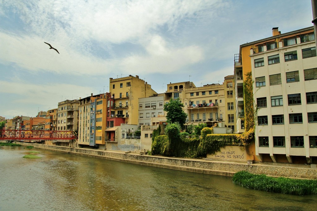 Foto: Girona en flor 2018 - Girona (Cataluña), España