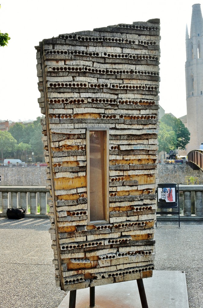 Foto: Girona en flor 2018 - Girona (Cataluña), España