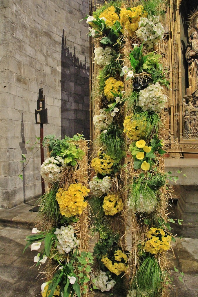 Foto: Girona en flor 2018 - Girona (Cataluña), España