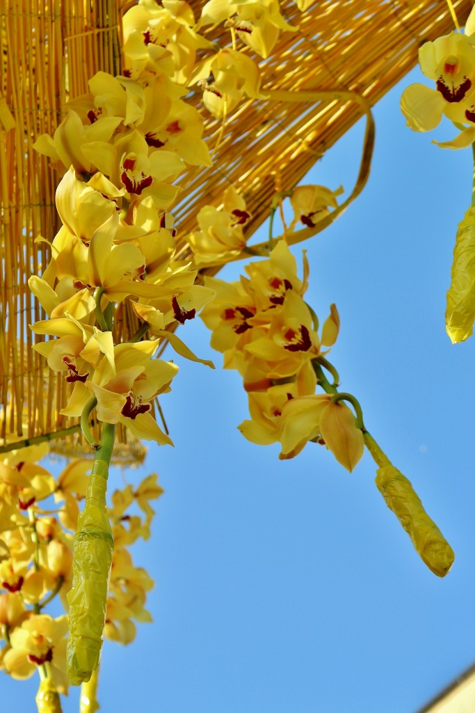 Foto: Girona en flor 2018 - Girona (Cataluña), España