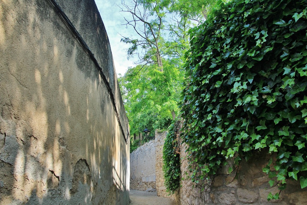 Foto: Girona en flor 2018 - Girona (Cataluña), España