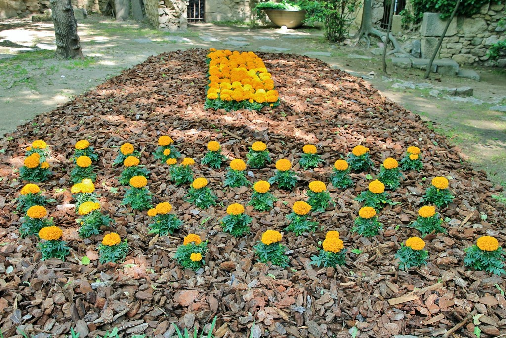 Foto: Girona en flor 2018 - Girona (Cataluña), España