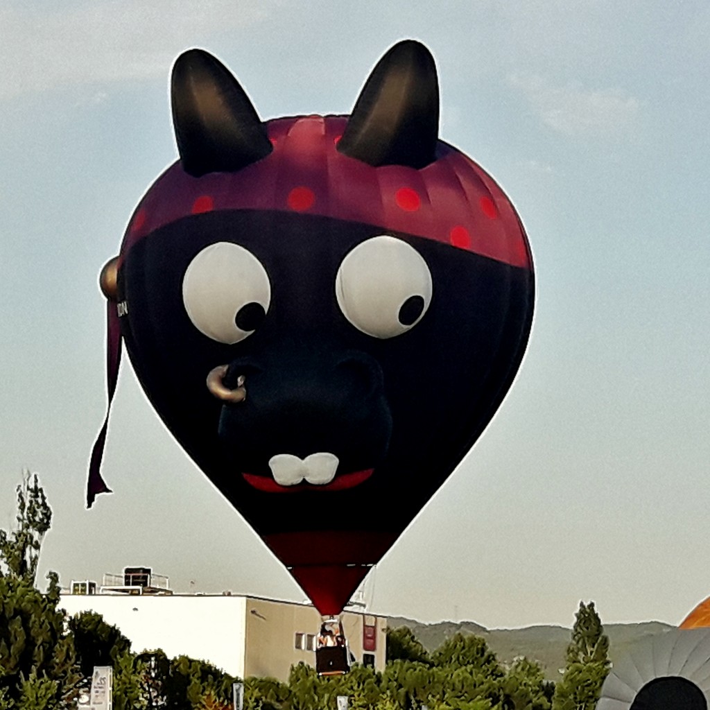 Foto: Concurso de globos - Igualada (Barcelona), España