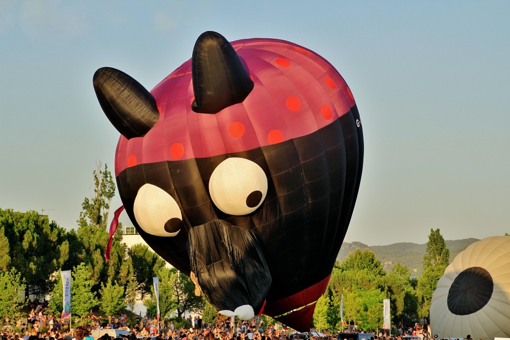 Foto: Concurso de globos - Igualada (Barcelona), España