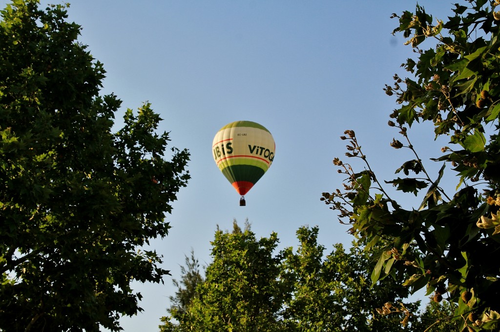 Foto: Concurso de globos - Igualada (Barcelona), España