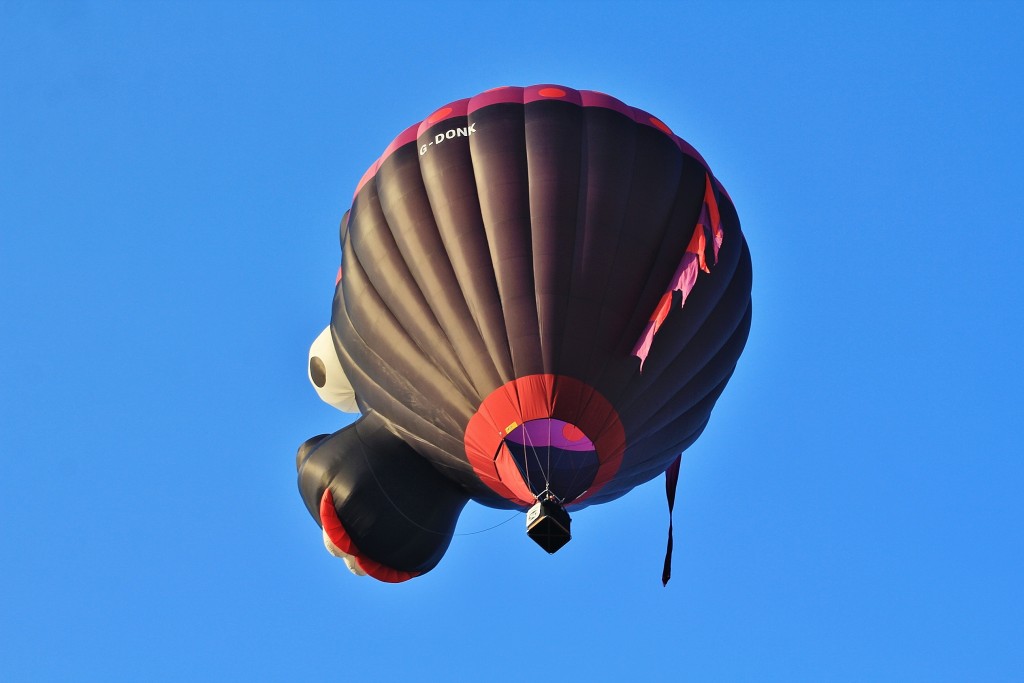 Foto: Concurso de globos - Igualada (Barcelona), España