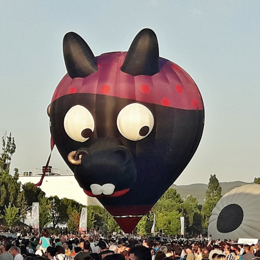 Foto: Concurso de globos - Igualada (Barcelona), España