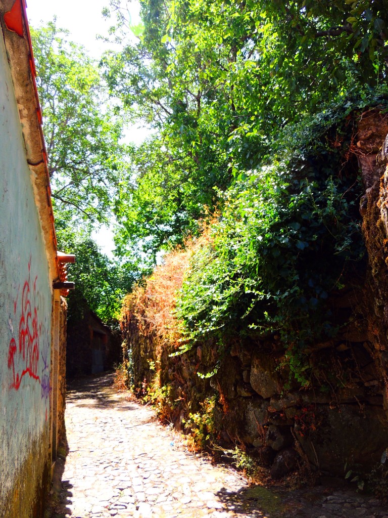 Foto de La Alberca (Cáceres), España