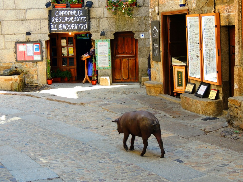 Foto de La Alberca (Cáceres), España