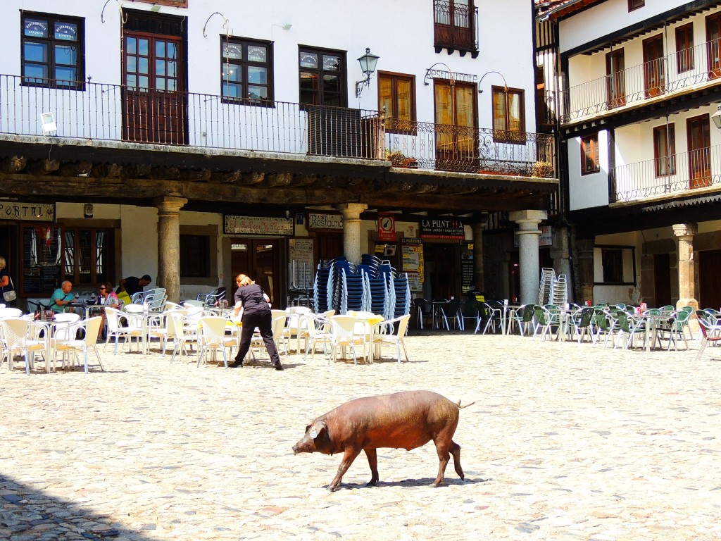 Foto de La Alberca (Cáceres), España