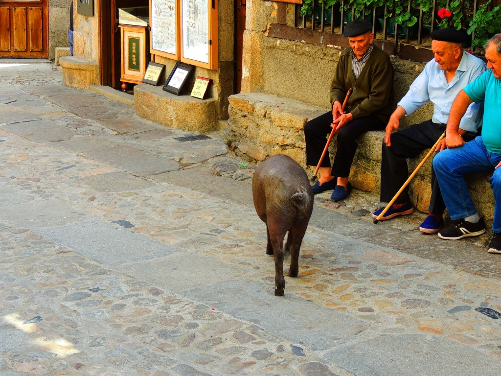 Foto de La Alberca (Cáceres), España