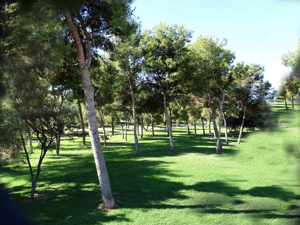 Foto: Jardines del Turia - Valencia (València), España