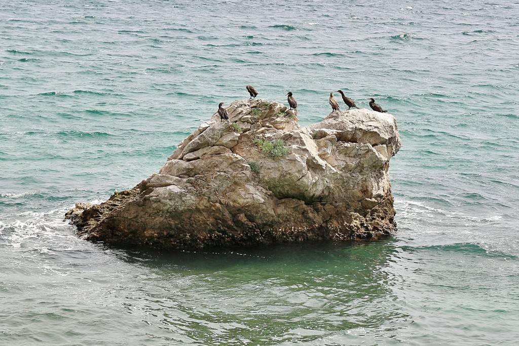 Foto: Mar Adrático - Grignano (Friuli Venezia Giulia), Italia