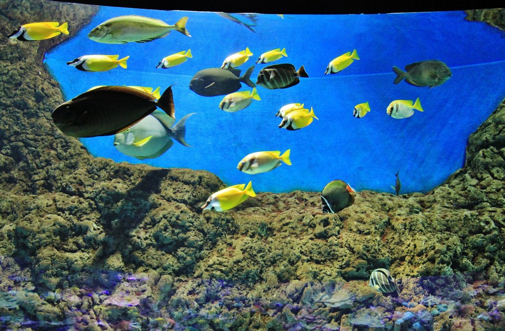 Foto: Acuario - Sevilla (Andalucía), España