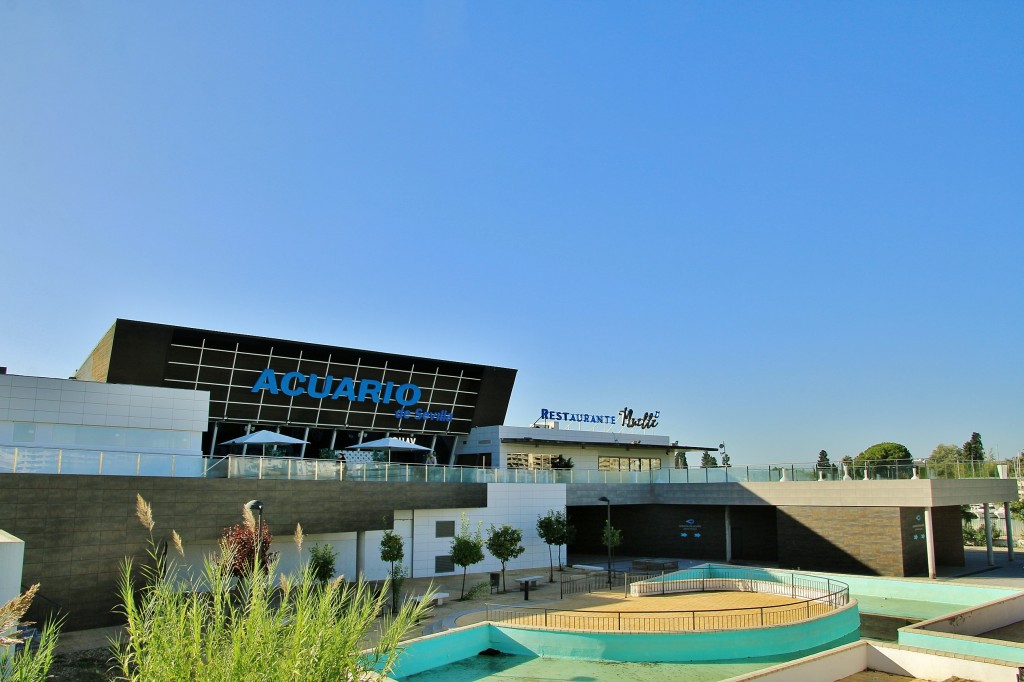 Foto: Acuario - Sevilla (Andalucía), España