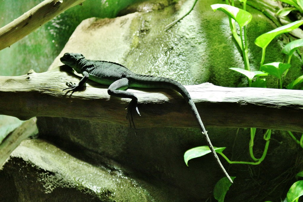 Foto: Acuario - Sevilla (Andalucía), España