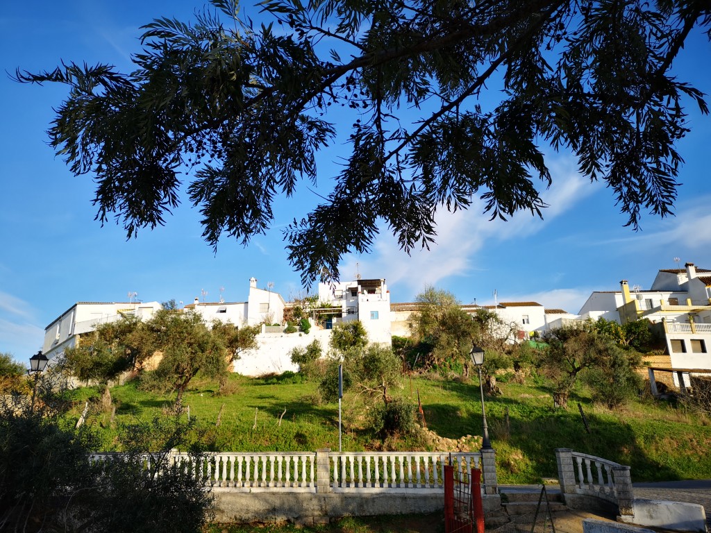 Foto de Algar (Cádiz), España