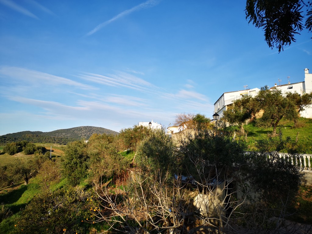 Foto de Algar (Cádiz), España