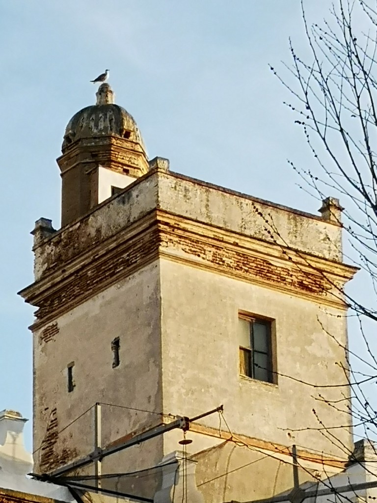 Foto de Cádiz (Andalucía), España