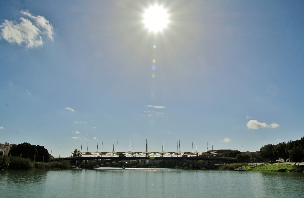 Foto: Navegando por el Guadalquivir - Sevilla (Andalucía), España