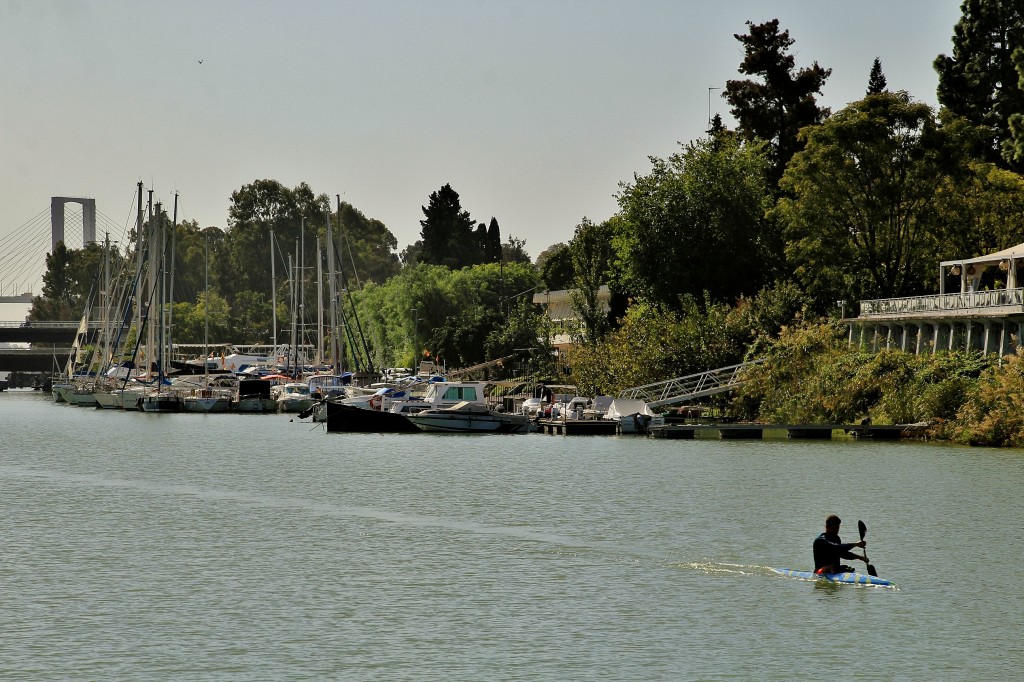 Foto: Navegando por el Guadalquivir - Sevilla (Andalucía), España