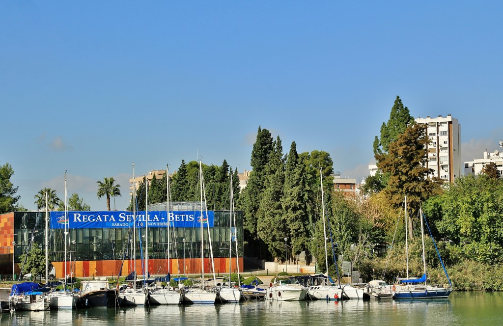 Foto: Navegando por el Guadalquivir - Sevilla (Andalucía), España