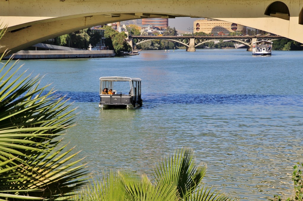 Foto: Navegando por el Guadalquivir - Sevilla (Andalucía), España