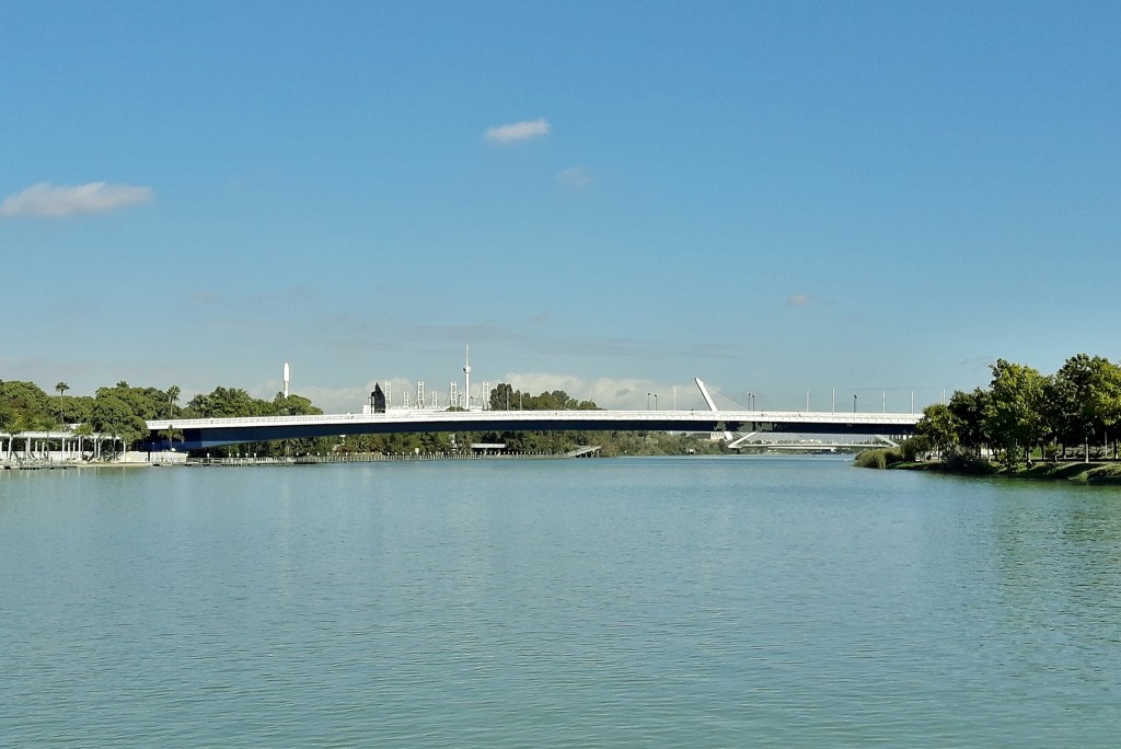 Foto: Navegando por el Guadalquivir - Sevilla (Andalucía), España