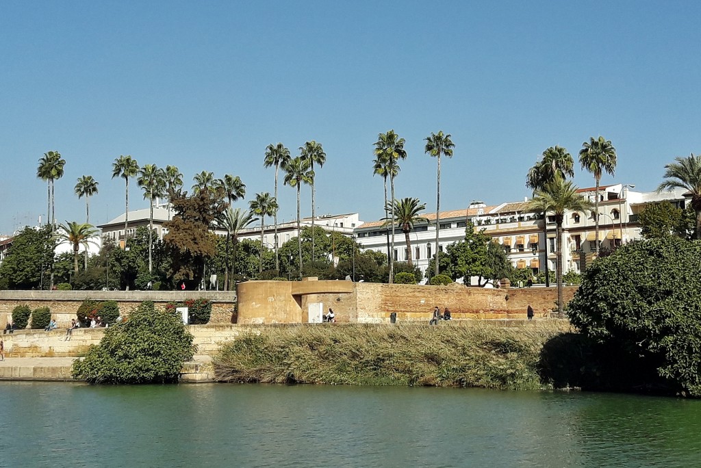 Foto: Navegando por el Guadalquivir - Sevilla (Andalucía), España