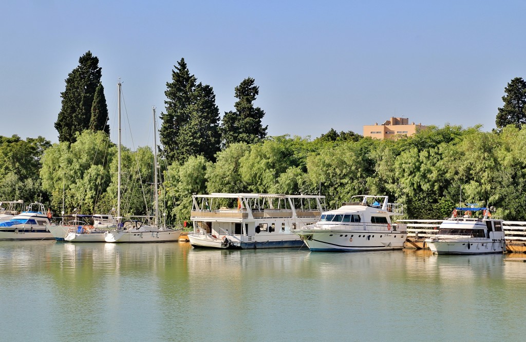 Foto: Navegando por el Guadalquivir - Sevilla (Andalucía), España