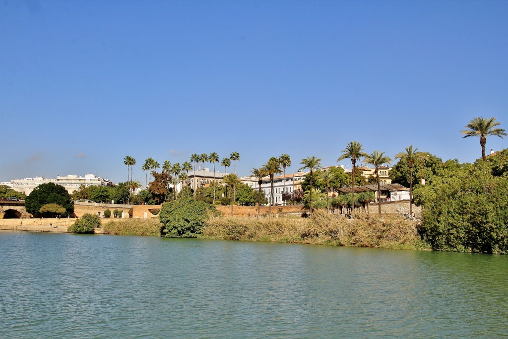 Foto: Navegando por el Guadalquivir - Sevilla (Andalucía), España