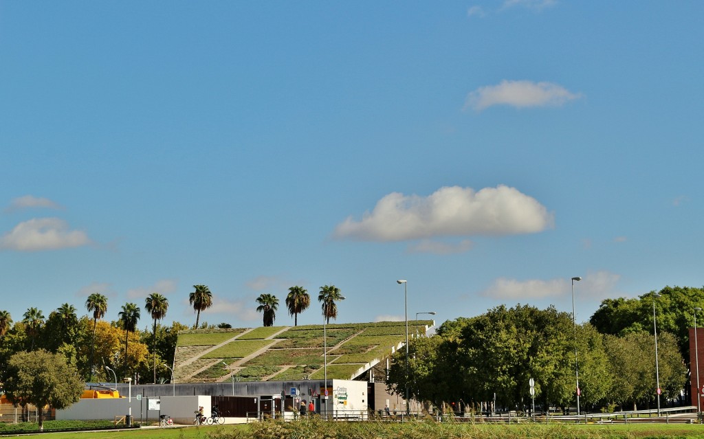 Foto: Navegando por el Guadalquivir - Sevilla (Andalucía), España