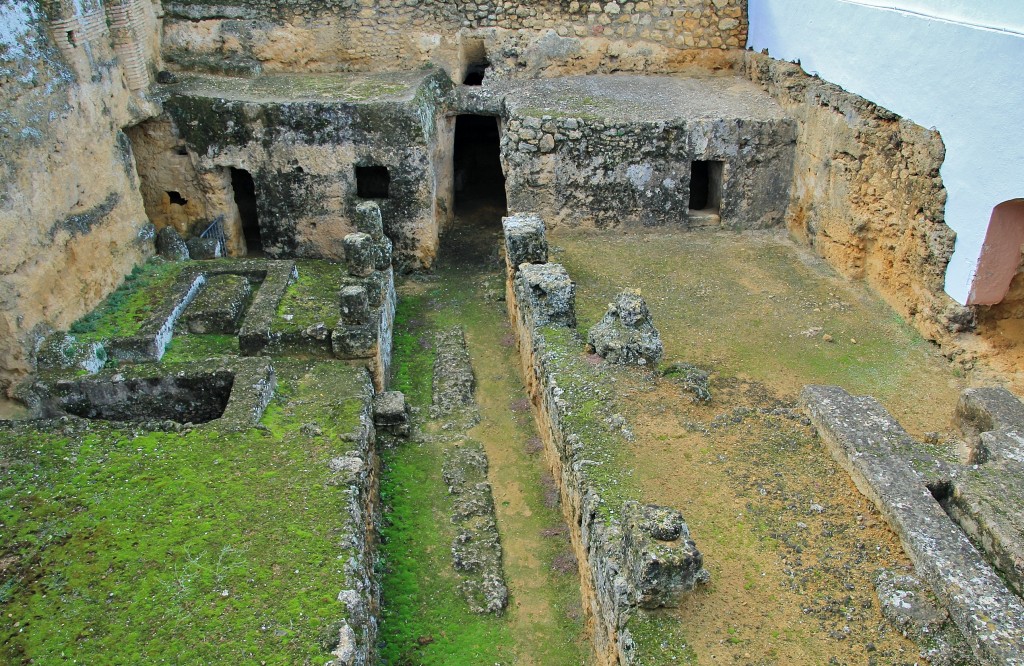 Foto: Necrópoli romana - Carmona (Sevilla), España