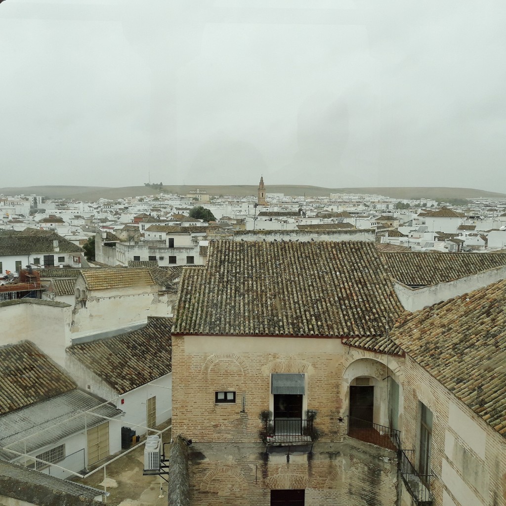 Foto: Palacio de Benamejí Vistas - Écija (Sevilla), España