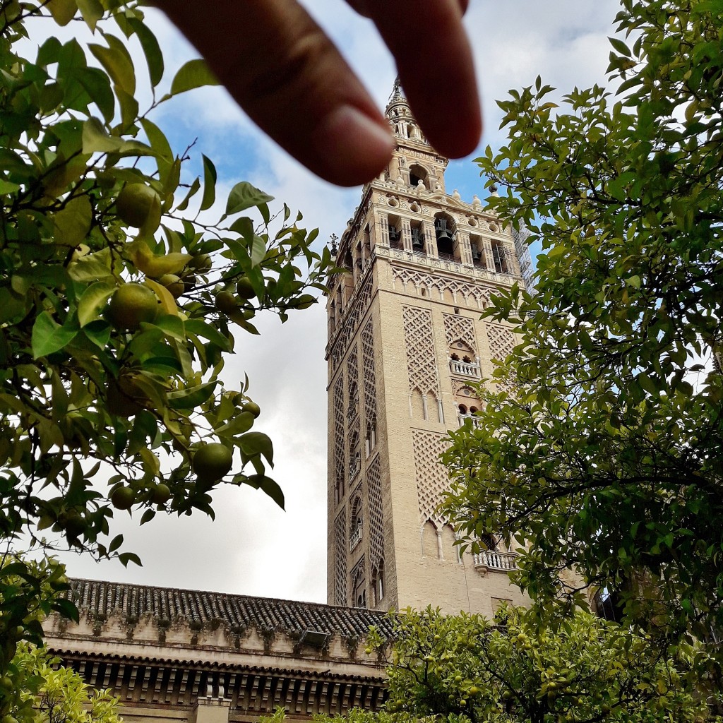 Foto: Giralda - Sevilla (Andalucía), España