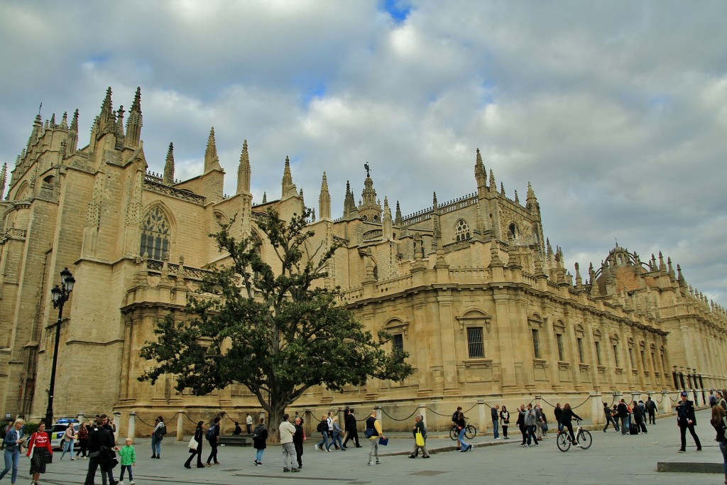 Foto: Catedral - Sevilla (Andalucía), España