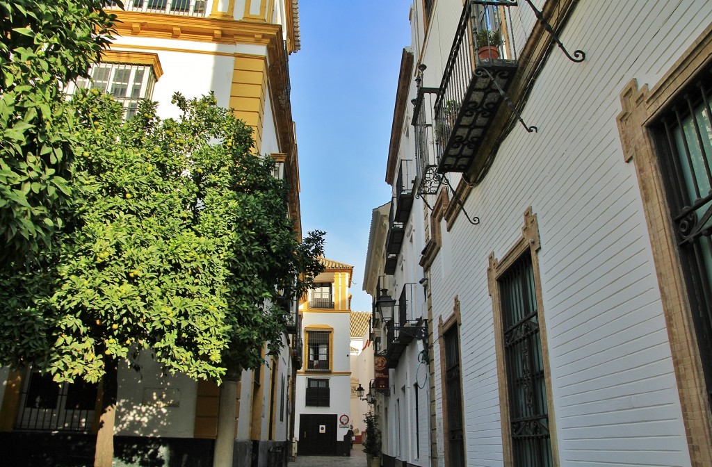 Foto: Centro histórico - Sevilla (Andalucía), España