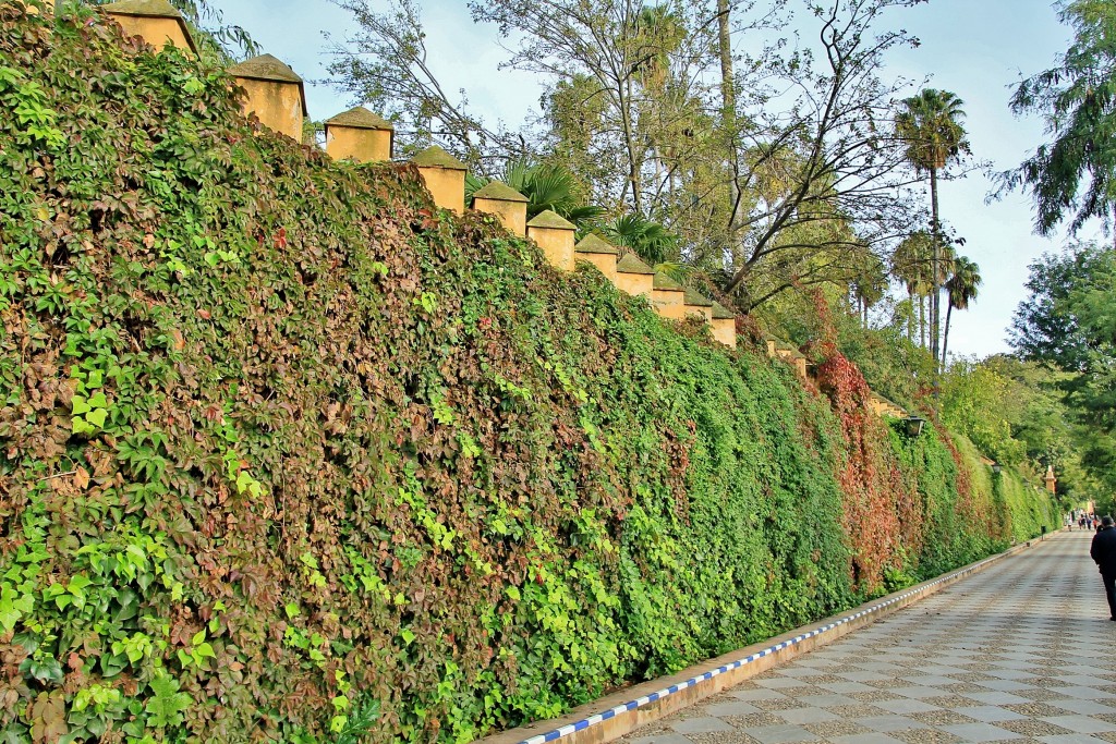 Foto: Jardines de Murillo - Sevilla (Andalucía), España