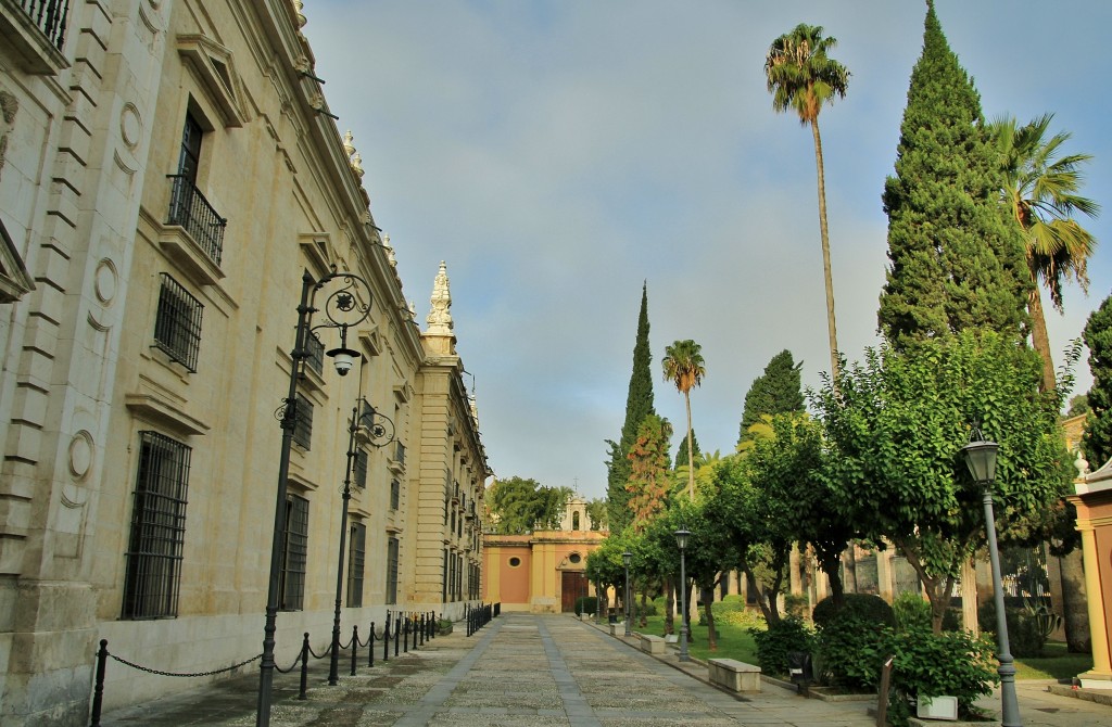 Foto: Jardines de Murillo - Sevilla (Andalucía), España