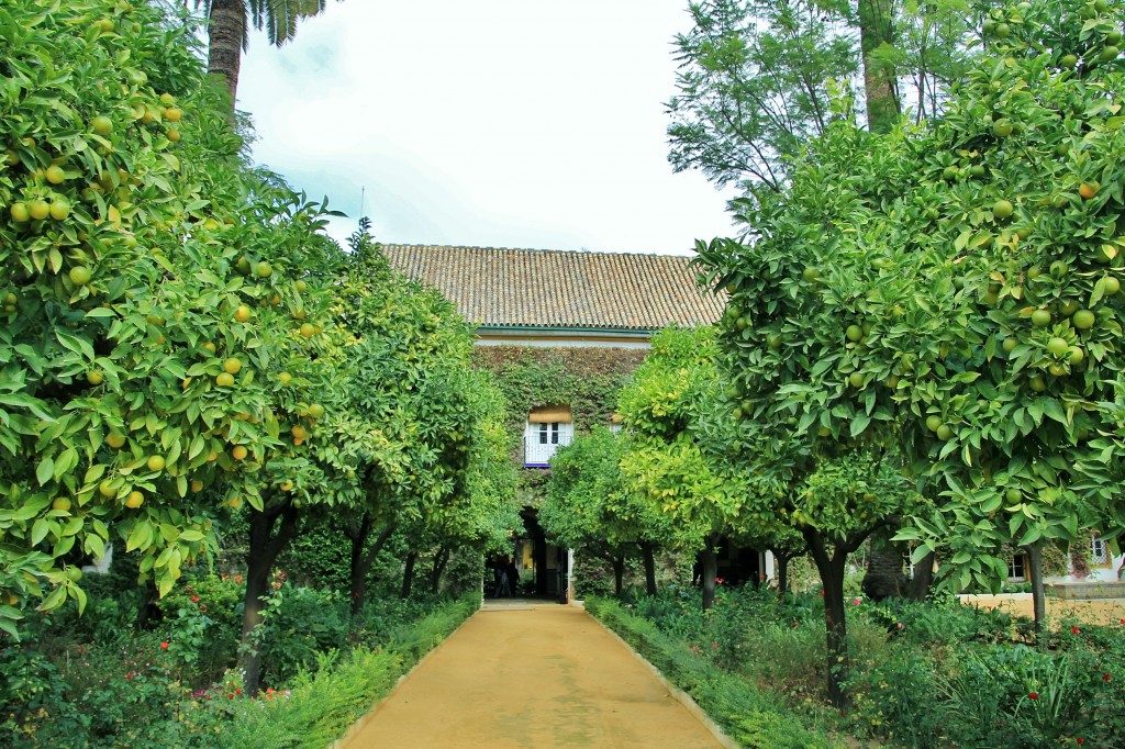 Foto: Palacio de las Dueñas - Sevilla (Andalucía), España