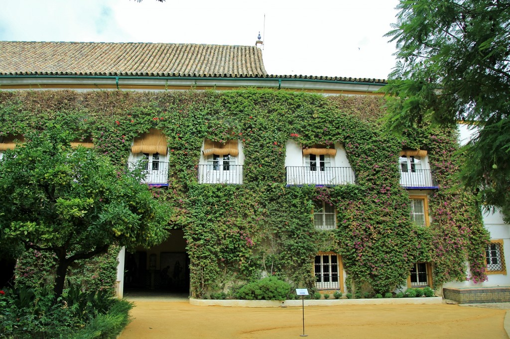 Foto: Palacio de las Dueñas - Sevilla (Andalucía), España