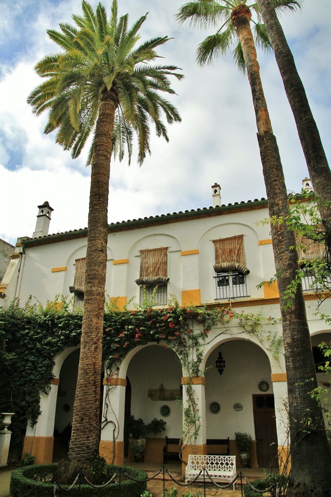 Foto: Palacio de las Dueñas - Sevilla (Andalucía), España