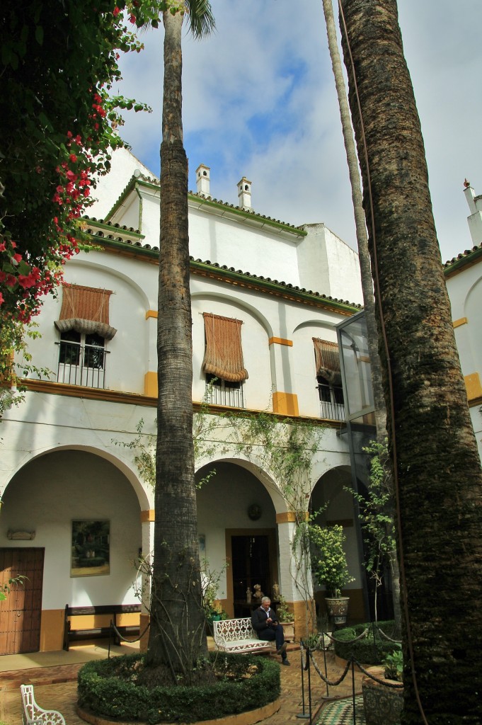 Foto: Palacio de las Dueñas - Sevilla (Andalucía), España