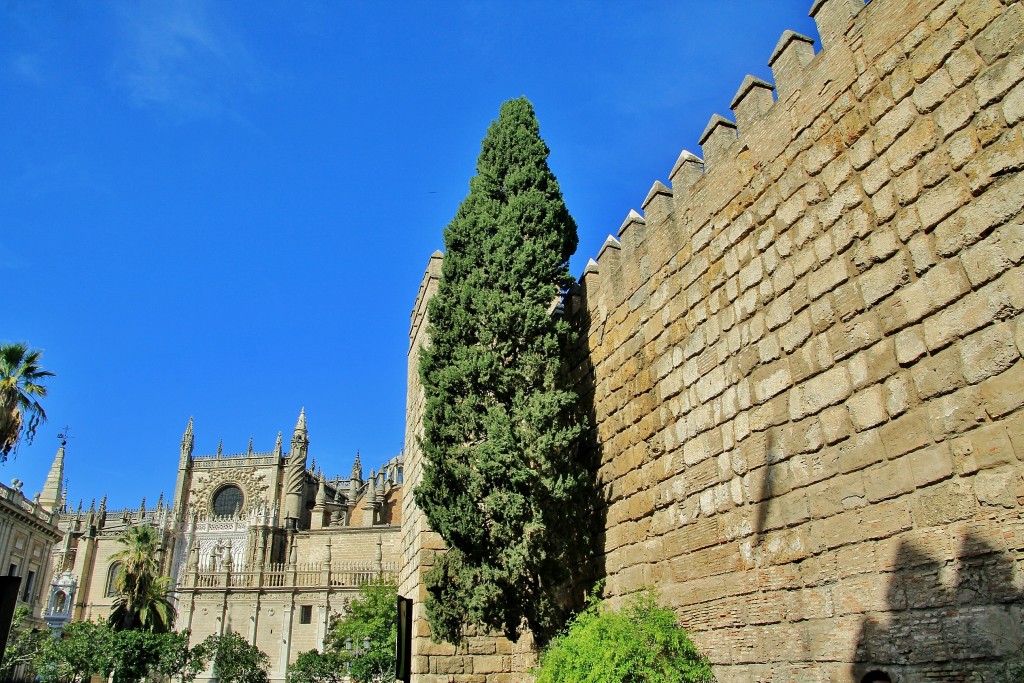 Foto: Real Alcazar de Sevilla - Sevilla (Andalucía), España