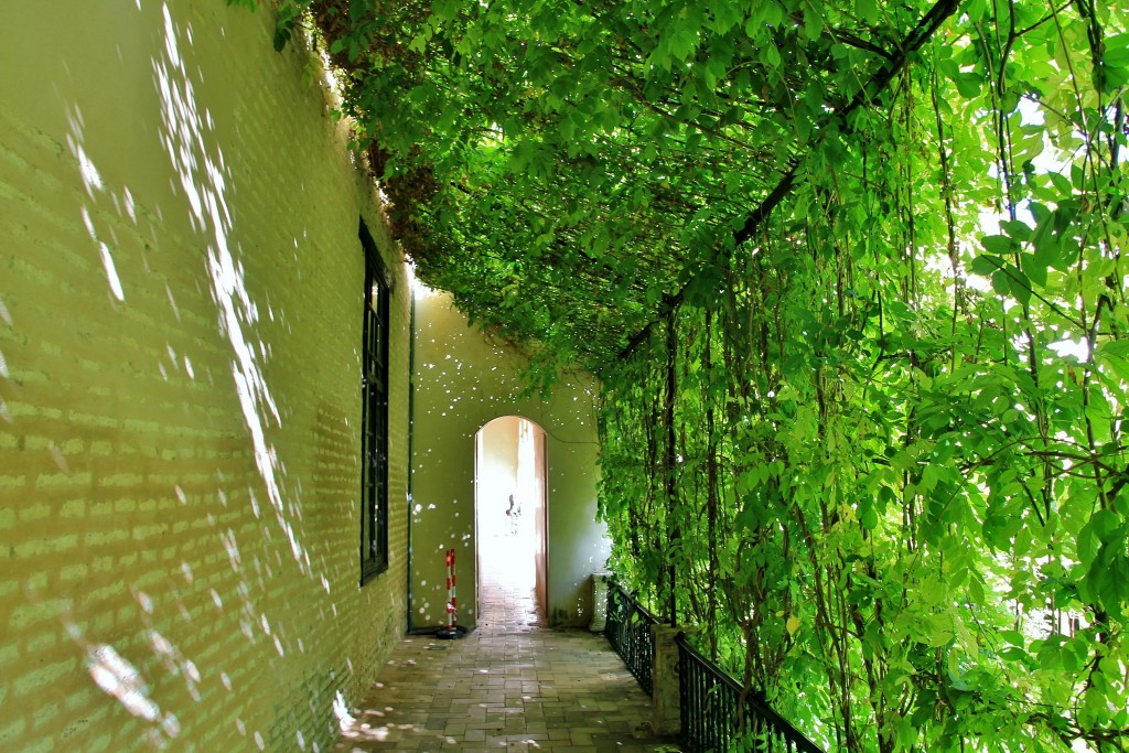 Foto: Real Alcazar de Sevilla - Sevilla (Andalucía), España