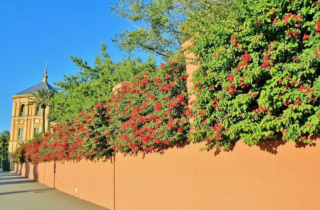 Foto: Parque de Mª Luisa - Sevilla (Andalucía), España