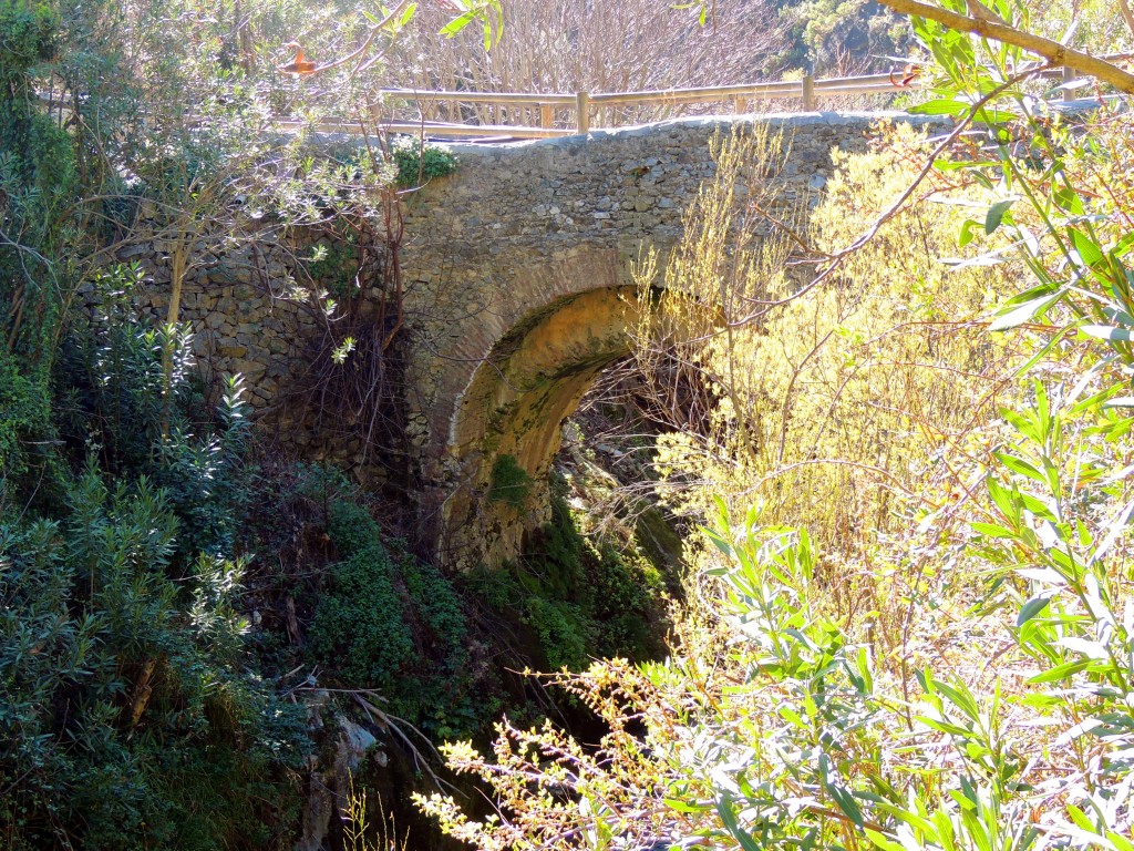 Foto de Canilla de Albaida (Málaga), España