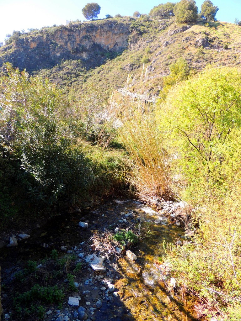 Foto de Canilla de Albaida (Málaga), España