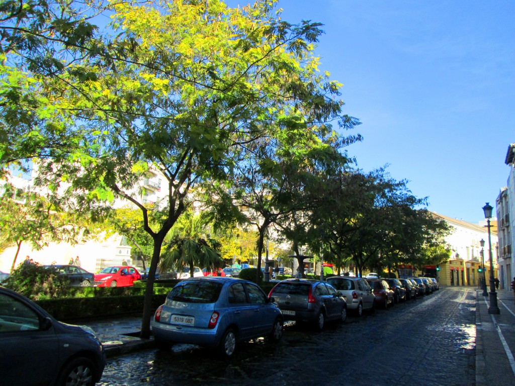 Foto: Calle Aladro - Jerez de la Frontera (Cádiz), España