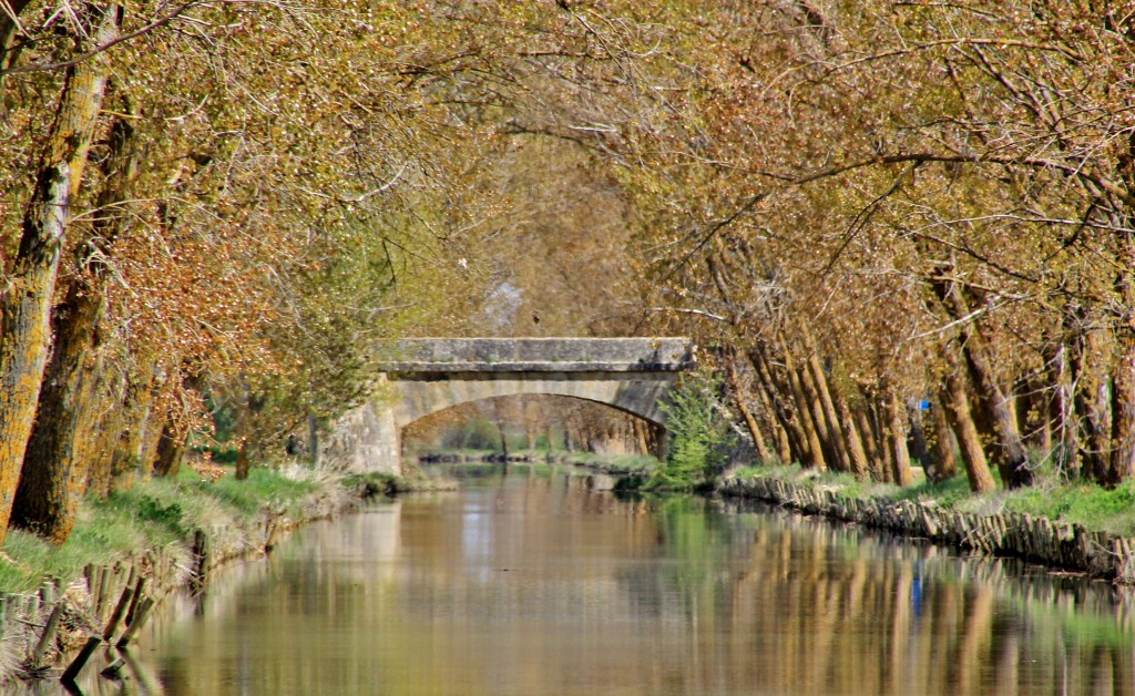 Foto: Canal de Castilla - Medina de Rioseco (Valladolid), España